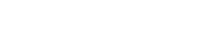 FlexiPlay Logo