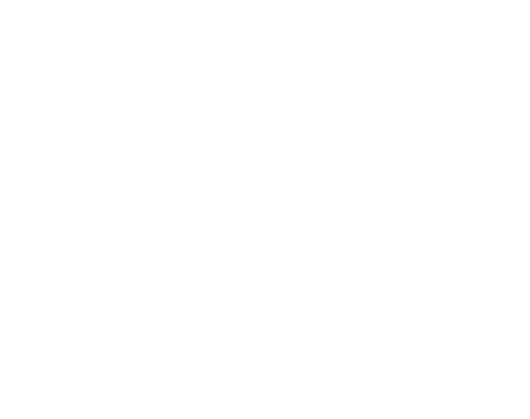FlexiPlay Logo