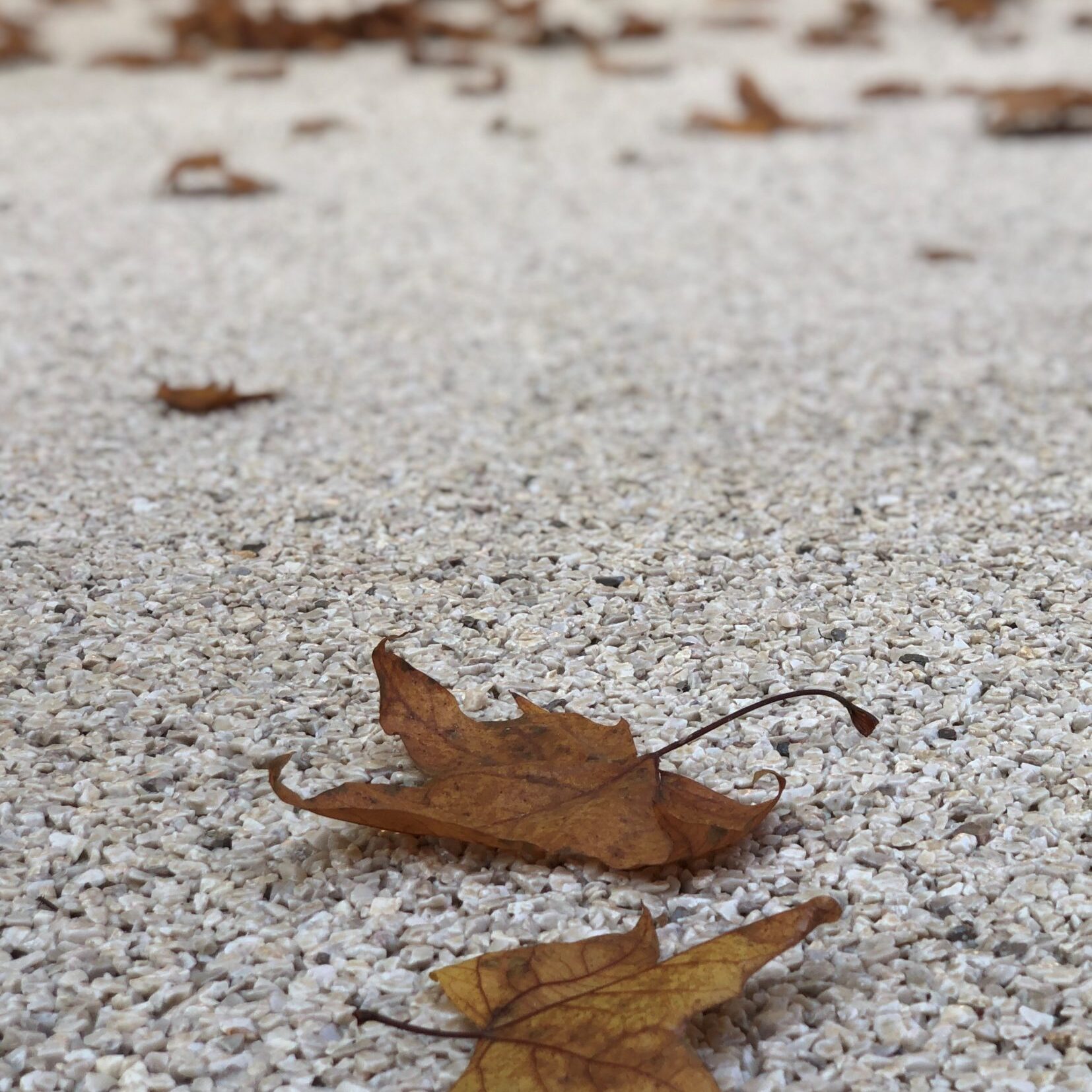 FlexiPlay - Conica - Conipave - Stone Carpet FlexiPlay - Conica - Conipave - Stone Carpet