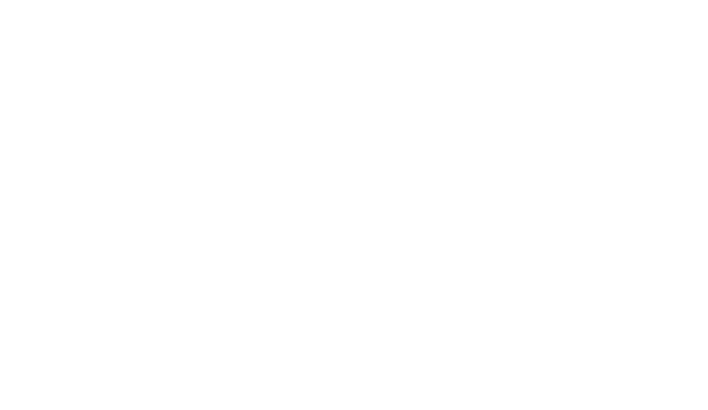 Conica White Logo