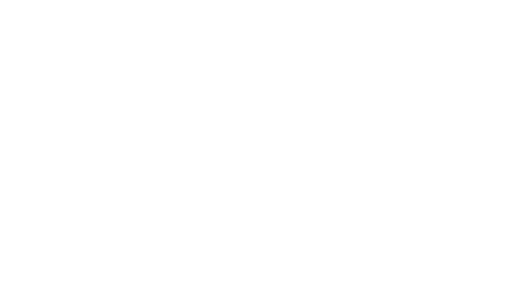 Sika White Logo